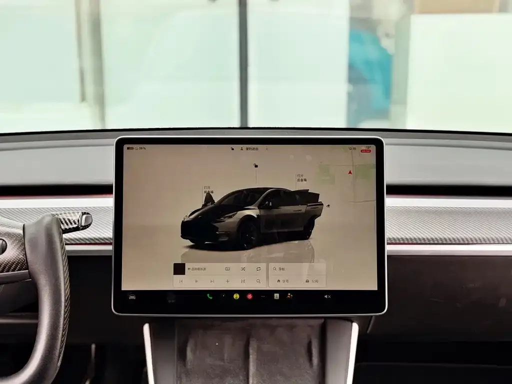 Tesla Model Y — фото 9