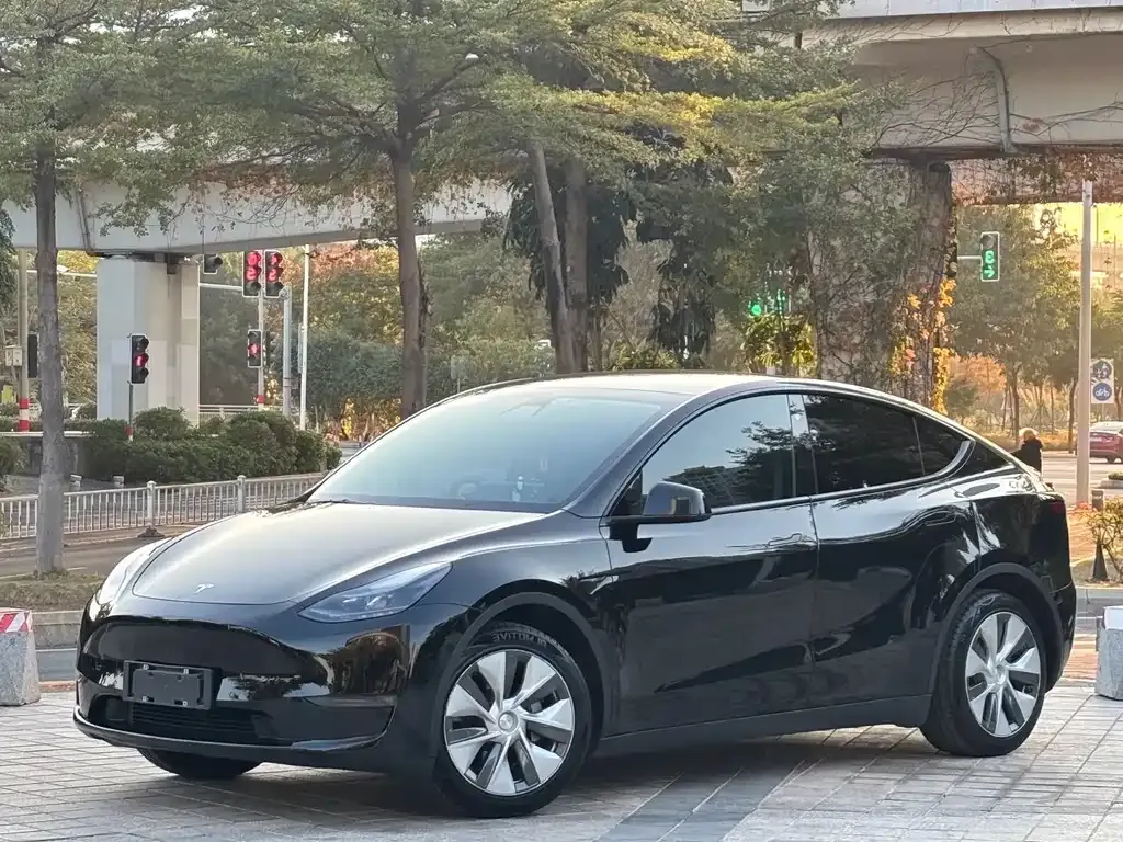 Tesla Model Y 2021 из CN, фото 1