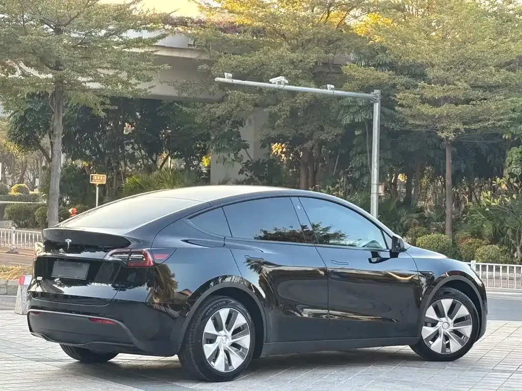 Tesla Model Y 2021 из CN, фото 8