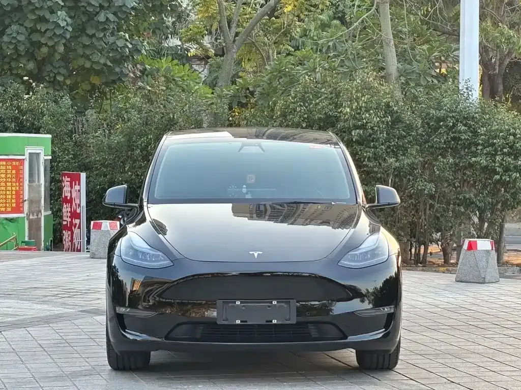 Tesla Model Y 2021 из CN, фото 4