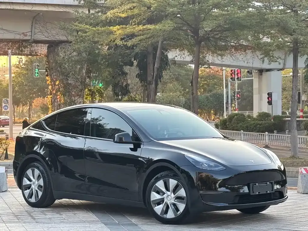 Tesla Model Y 2021 из CN, фото 5