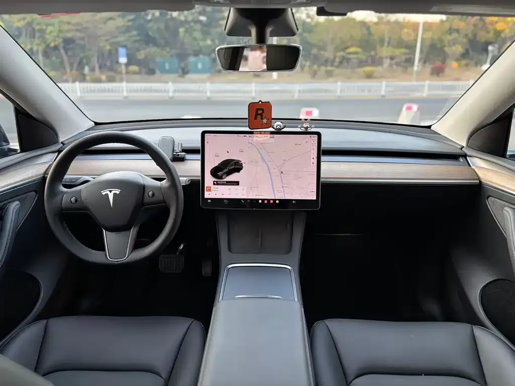 Tesla Model Y 2021 из CN, фото 9