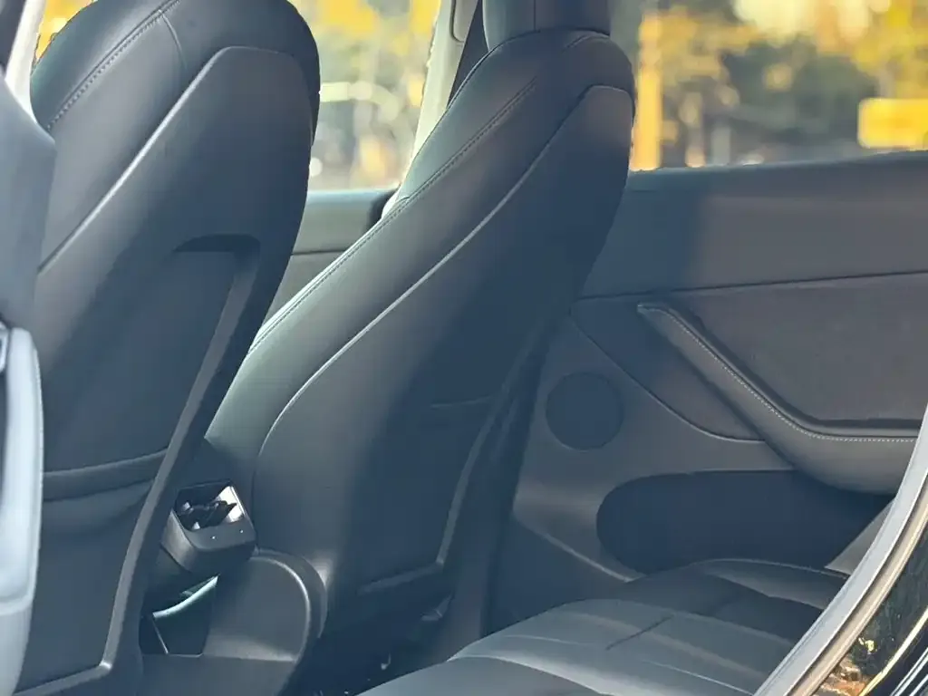 Tesla Model Y 2021 из CN, фото 6