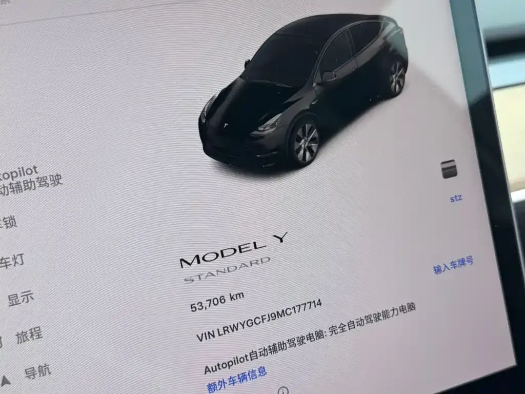 Tesla Model Y 2021 из CN, фото 2
