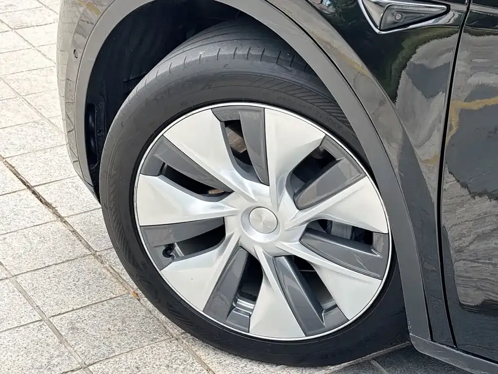 Tesla Model Y 2021 из CN, фото 3