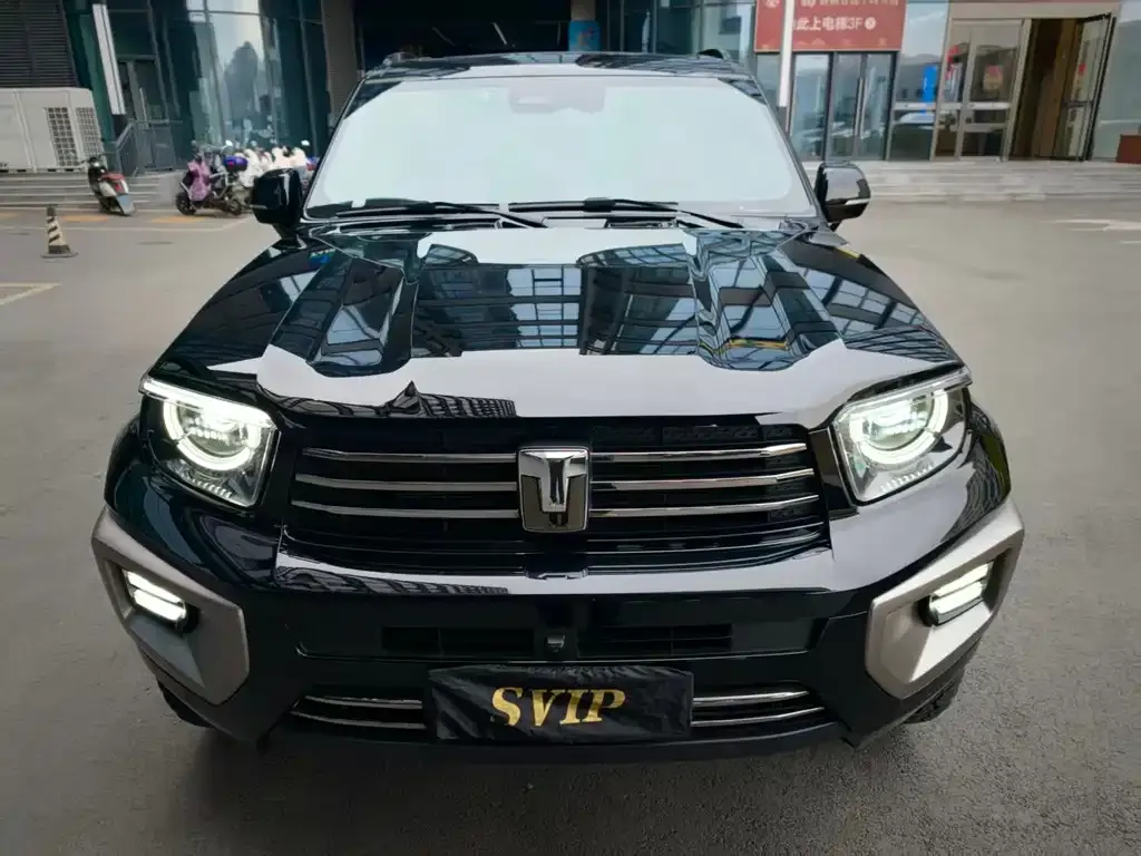 Tank 700 New Energy 2024 из CN, фото 8