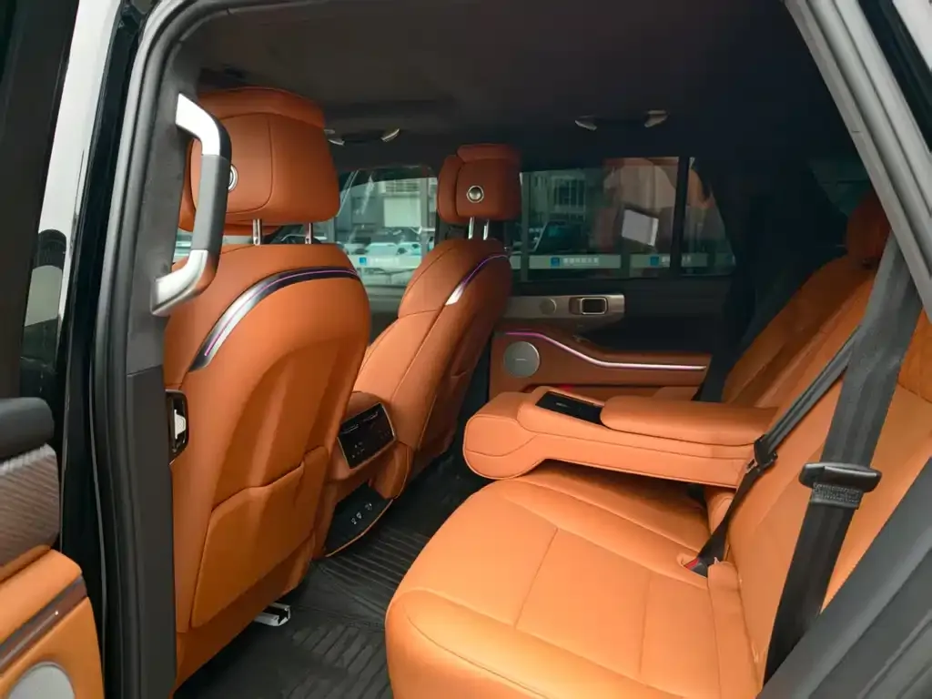 Tank 700 New Energy 2024 из CN, фото 10