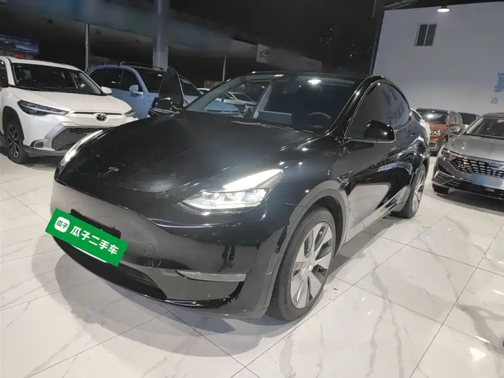 Tesla Model Y 2021 из CN, фото 1