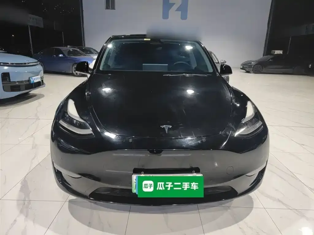 Tesla Model Y 2021 из CN, фото 9