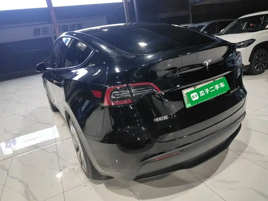 Tesla Model Y 2021 из CN, фото 6