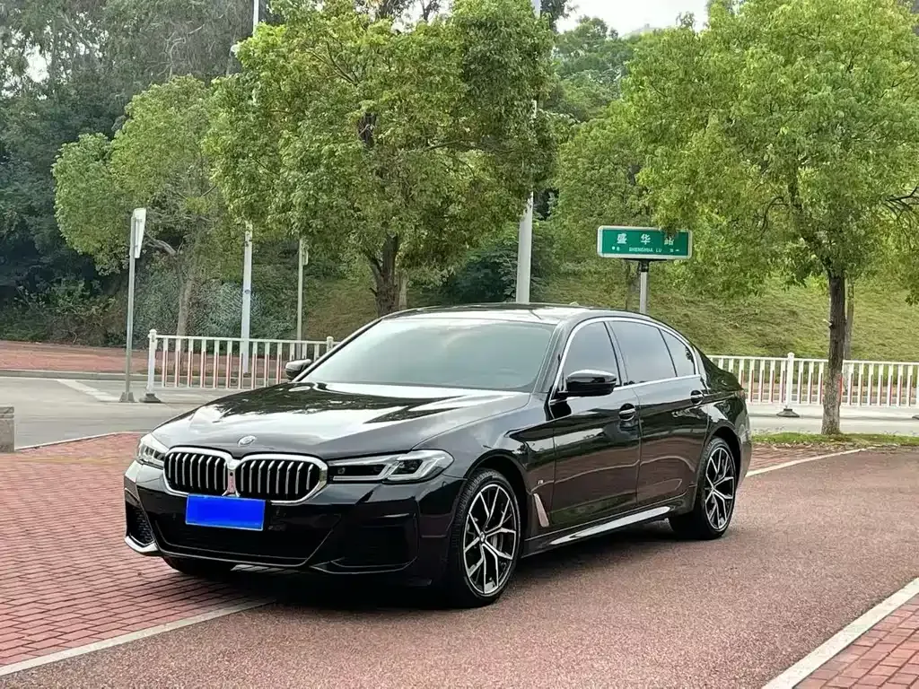 BMW 5 Series 2023 из CN, фото 1
