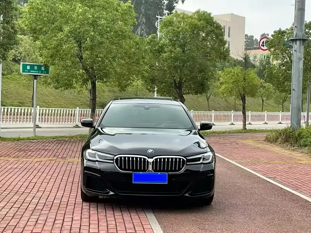 BMW 5 Series 2023 из CN, фото 6