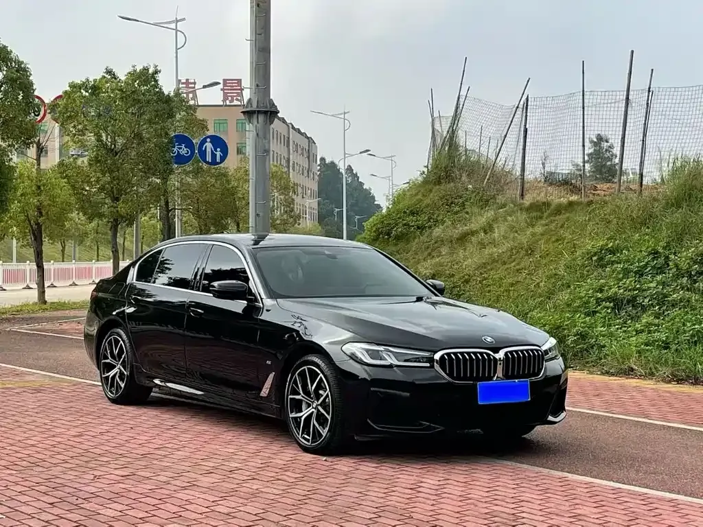 BMW 5 Series 2023 из CN, фото 7