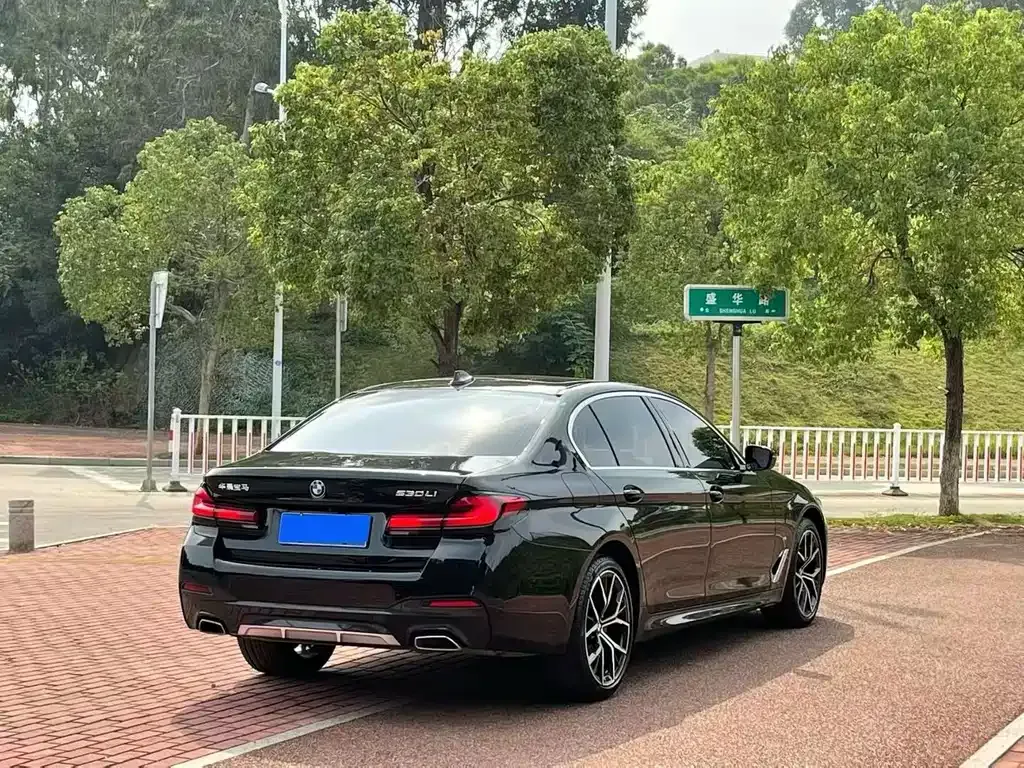 BMW 5 Series 2023 из CN, фото 8