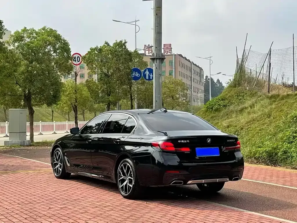 BMW 5 Series 2023 из CN, фото 9
