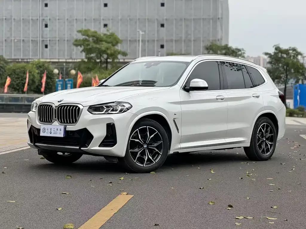 BMW X3 — фото 1