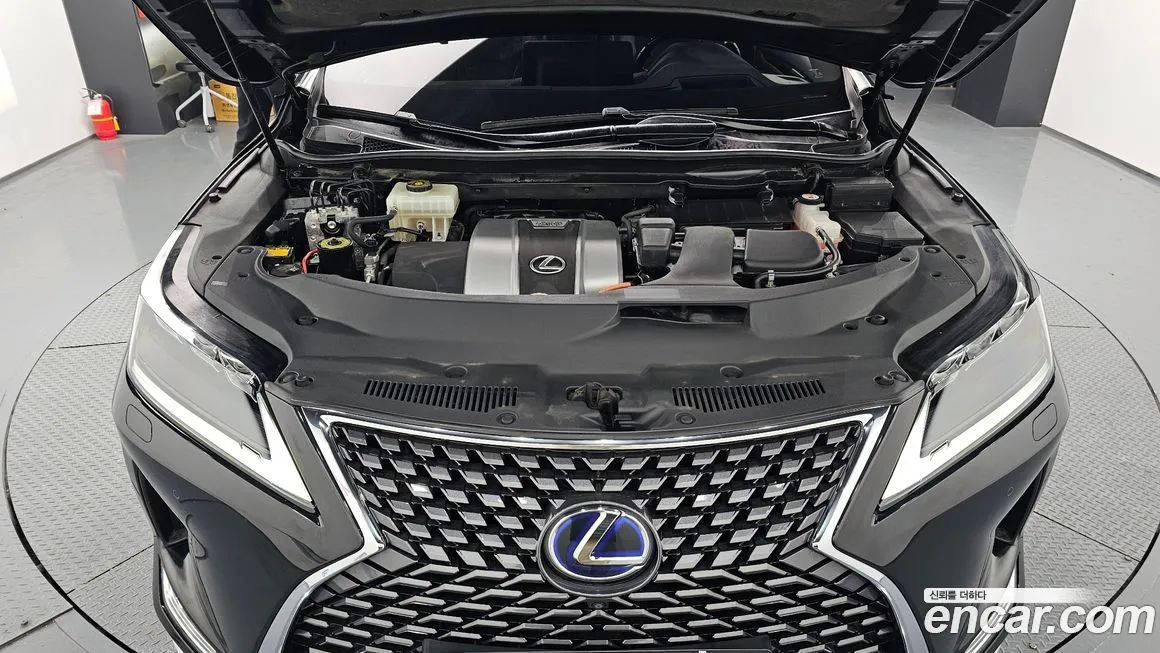 Lexus RX — фото 10