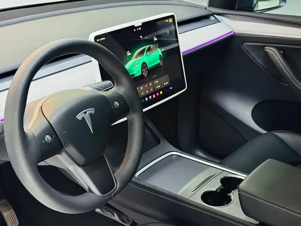 Tesla Model Y — фото 10