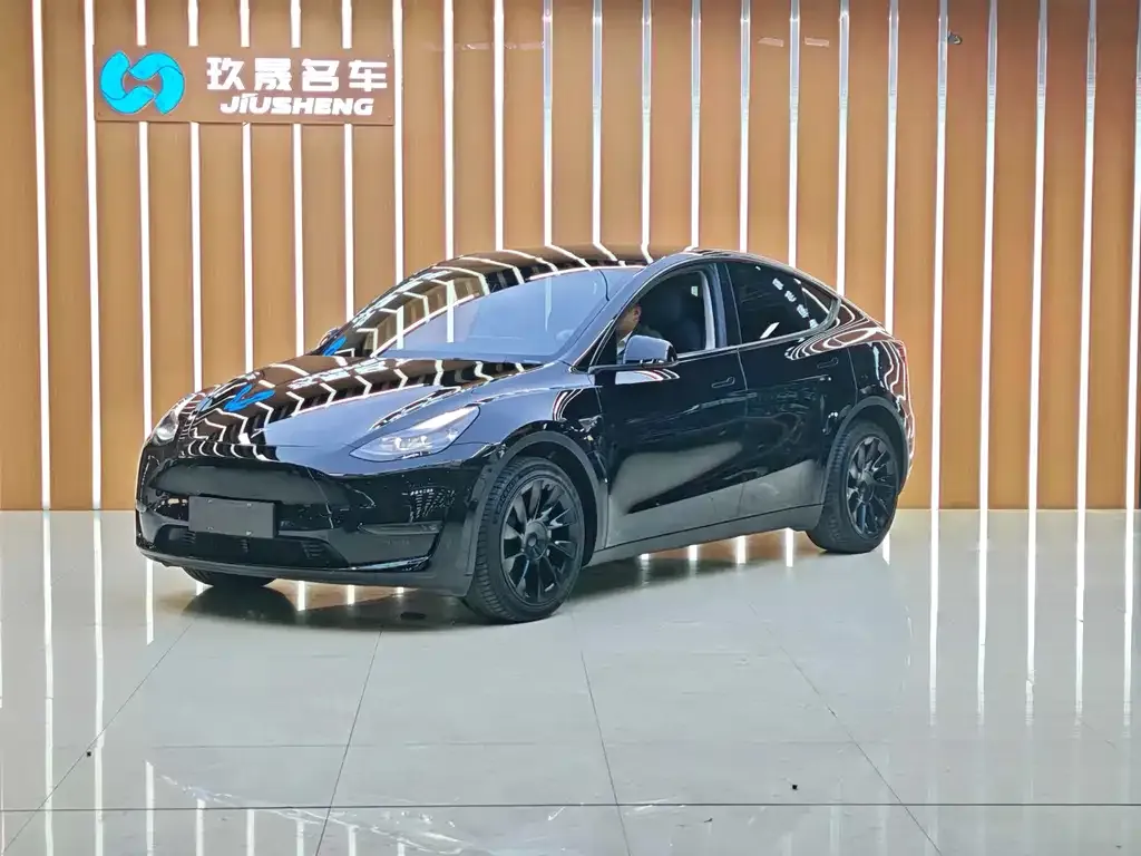 Tesla Model Y 2021 из CN, фото 1