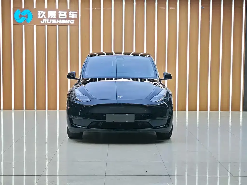 Tesla Model Y 2021 из CN, фото 4