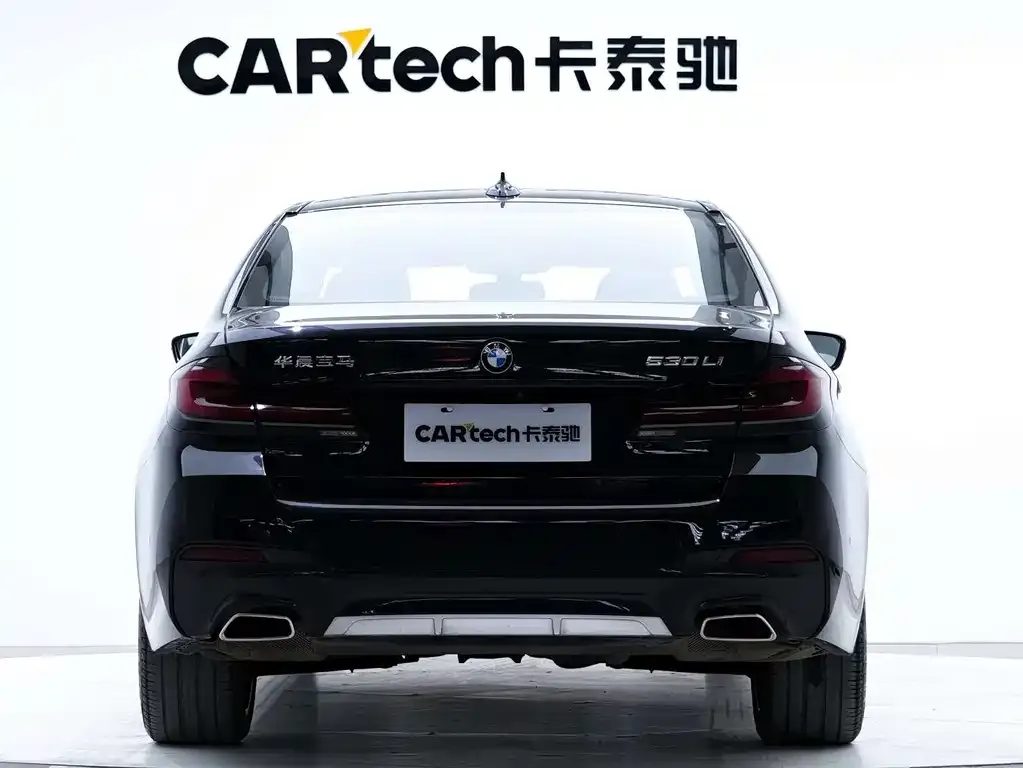 BMW 5 Series 2021 из CN, фото 7