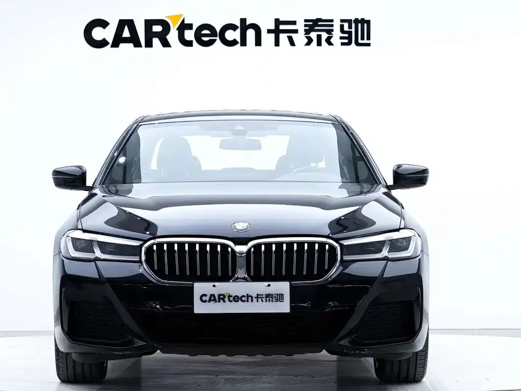BMW 5 Series 2021 из CN, фото 3