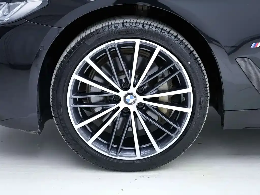 BMW 5 Series 2021 из CN, фото 9