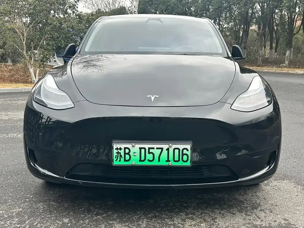 Tesla Model Y 2024 из CN, фото 8
