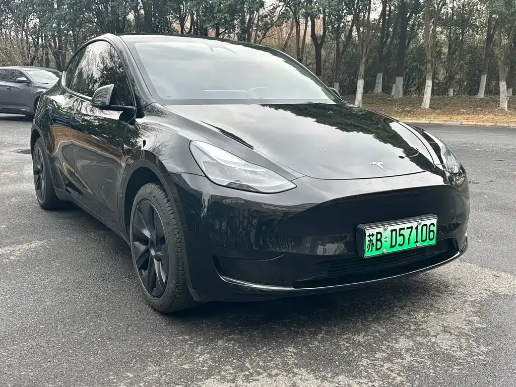 Tesla Model Y 2024 из CN, фото 5