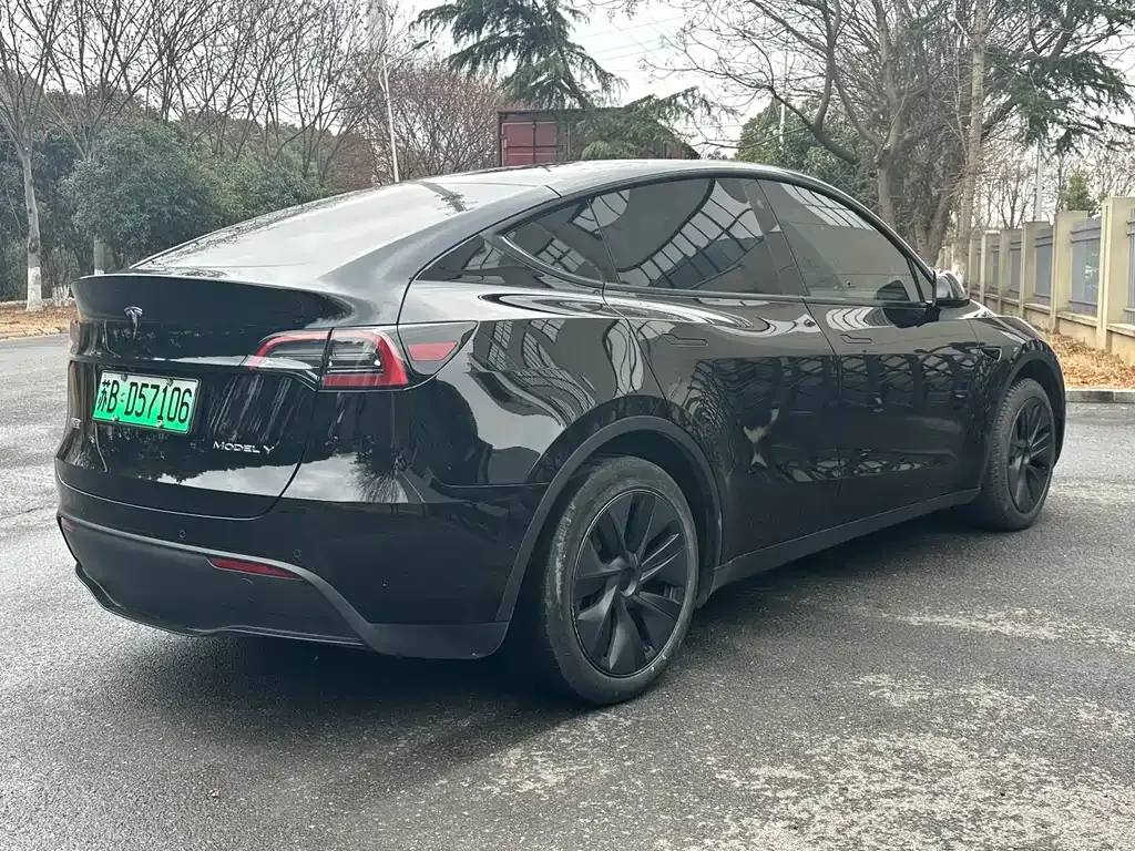 Tesla Model Y 2024 из CN, фото 6