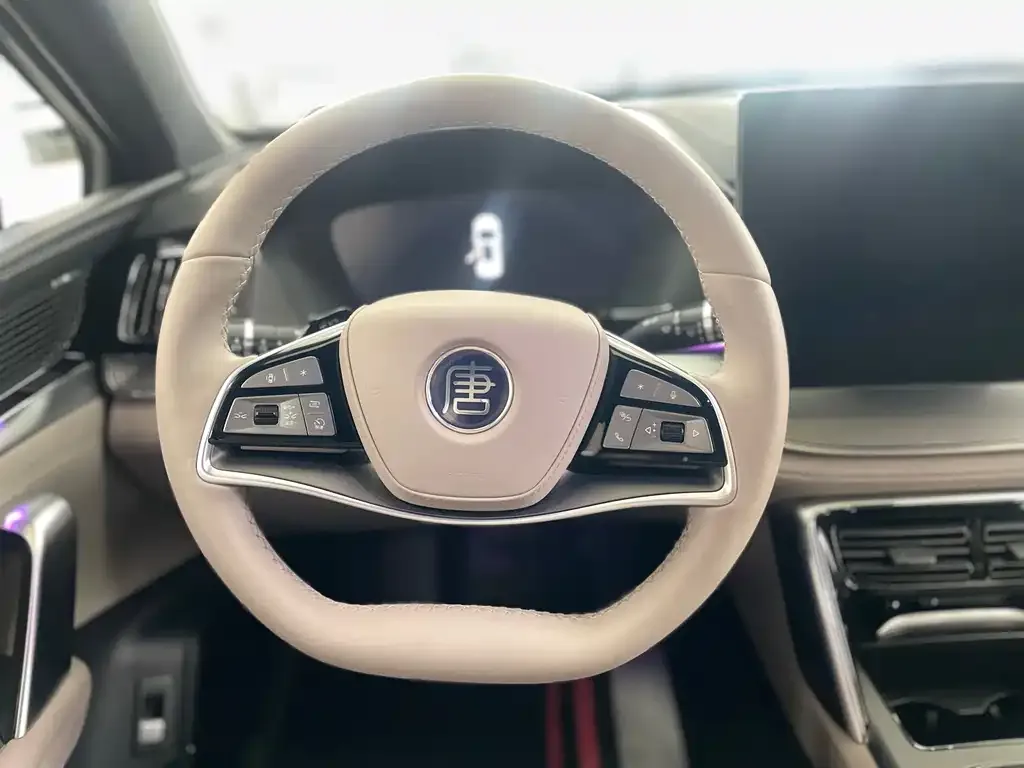 BYD Tang New Energy 2025 из CN, фото 9