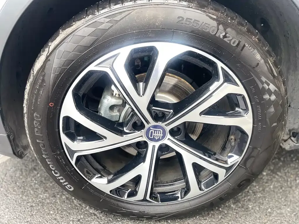 BYD Tang New Energy 2025 из CN, фото 3
