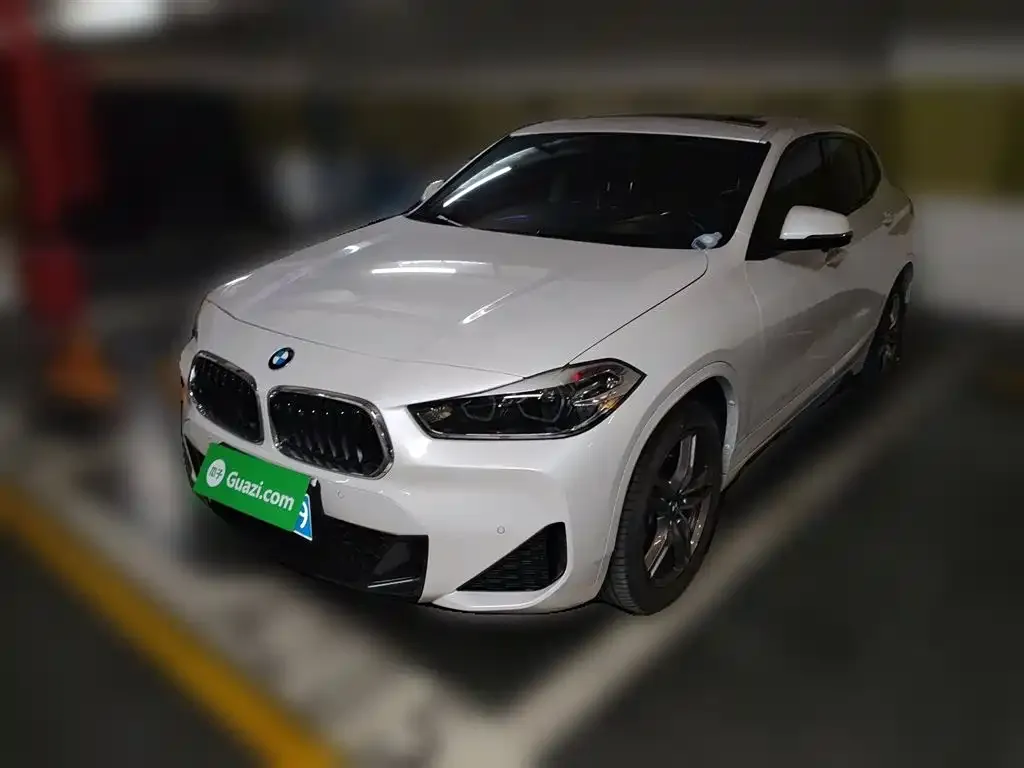 BMW X2 2023 из CN, фото 1
