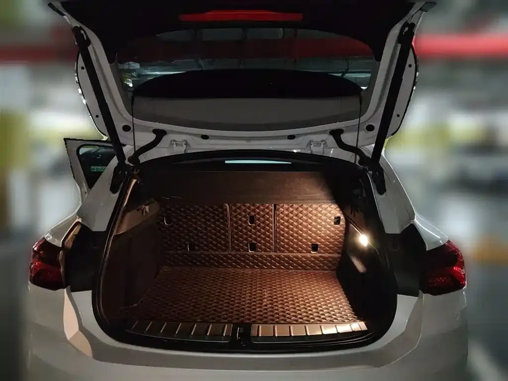 BMW X2 2023 из CN, фото 9
