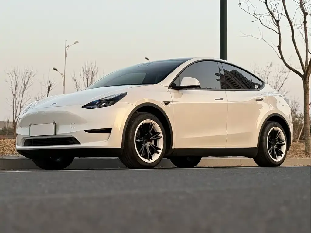 Tesla Model Y — фото 7