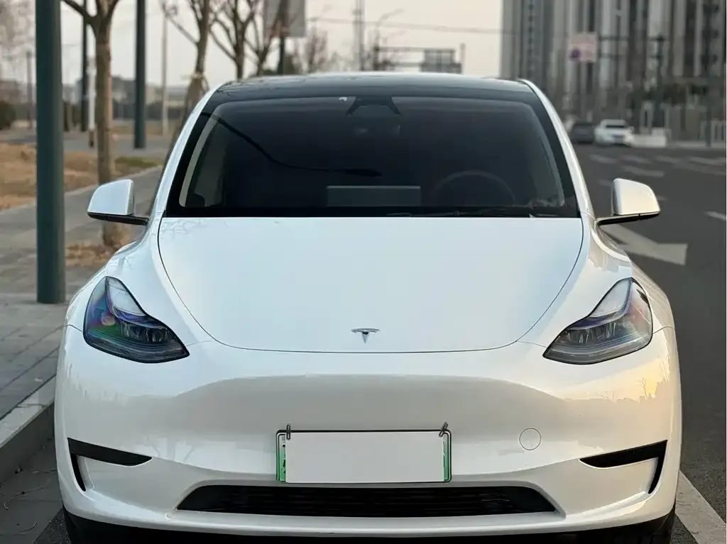 Tesla Model Y — фото 6