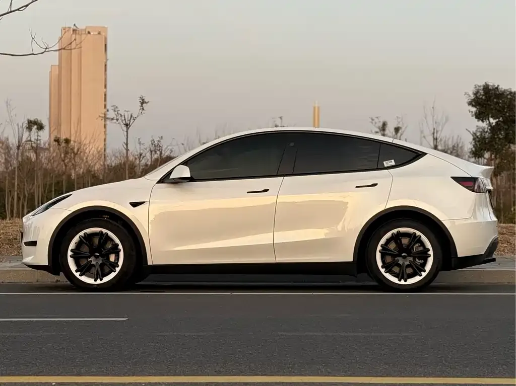 Tesla Model Y — фото 10