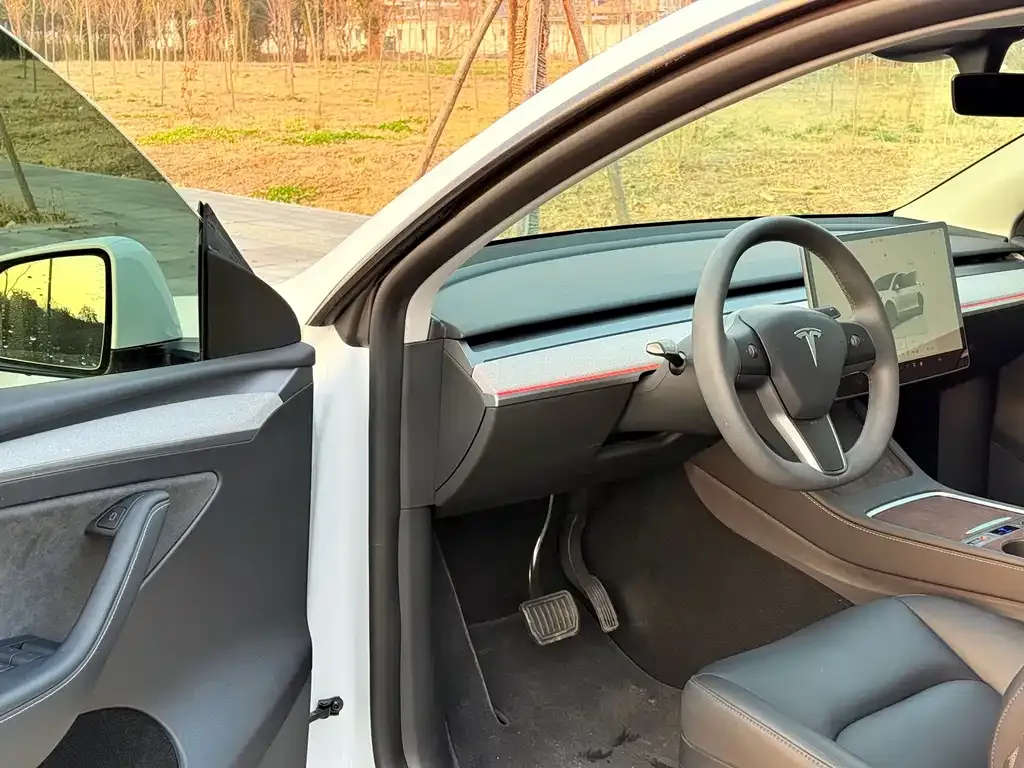 Tesla Model Y — фото 9