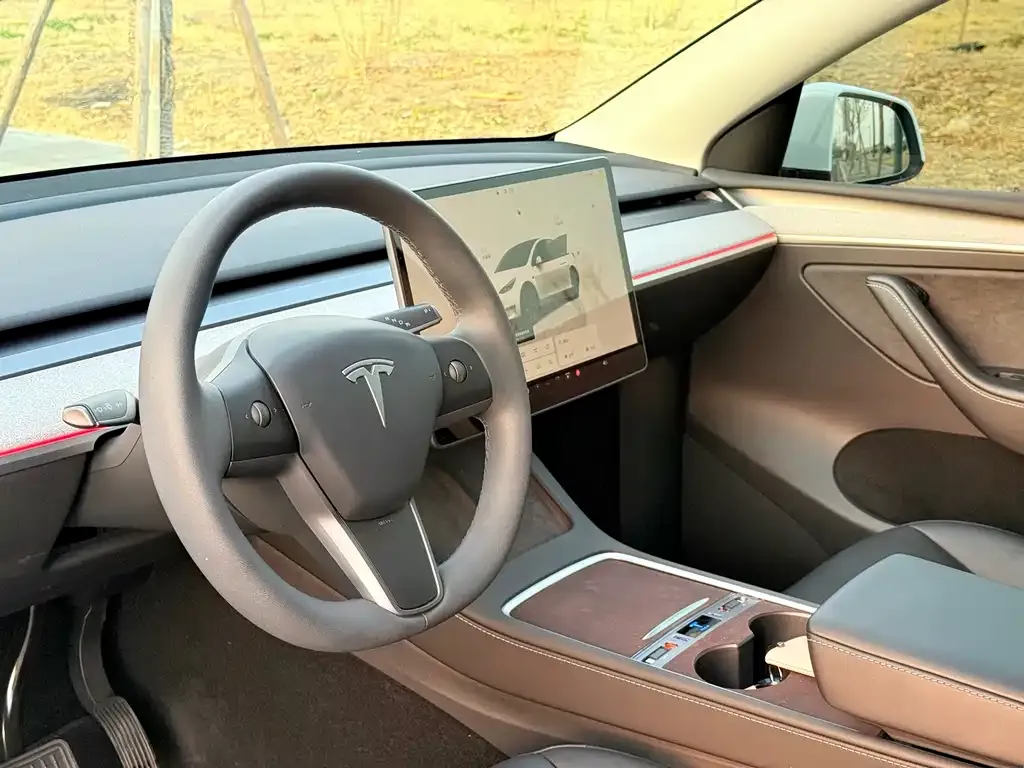 Tesla Model Y — фото 4