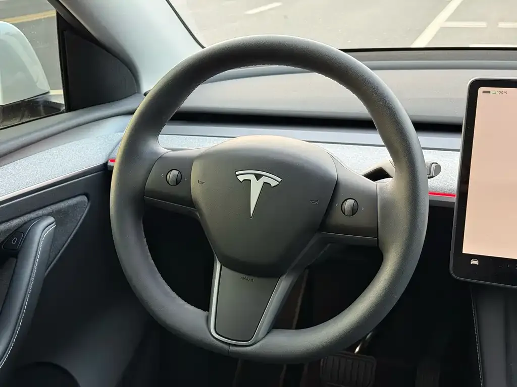 Tesla Model Y — фото 8