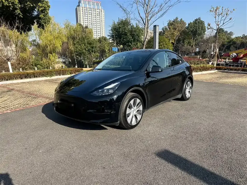Tesla Model Y 2023 из CN, фото 1