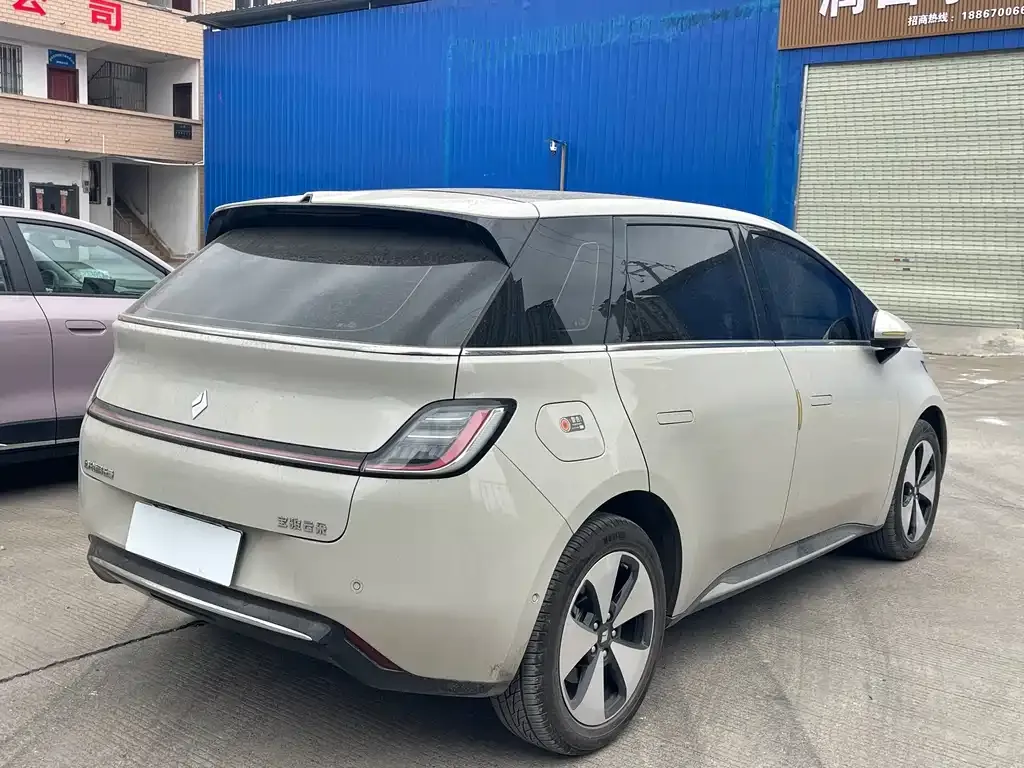 Baojun Yunduo 2024 из CN, фото 9