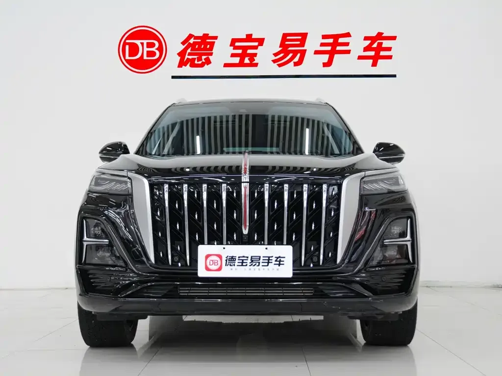 Hongqi HS5 2024 из CN, фото 10