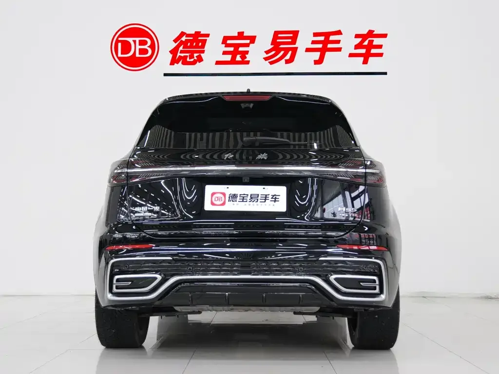 Hongqi HS5 2024 из CN, фото 9