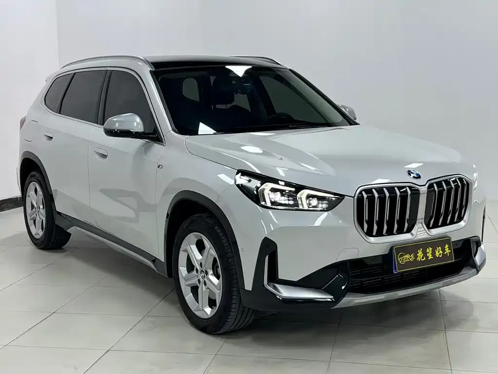 BMW X1 2024 из CN, фото 9