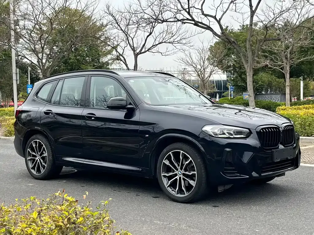 BMW X3 2024 из CN, фото 7