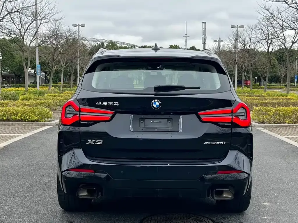 BMW X3 2024 из CN, фото 3