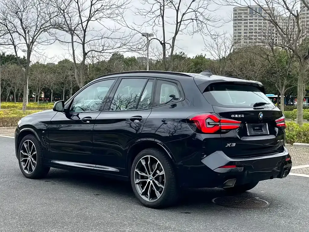 BMW X3 2024 из CN, фото 9