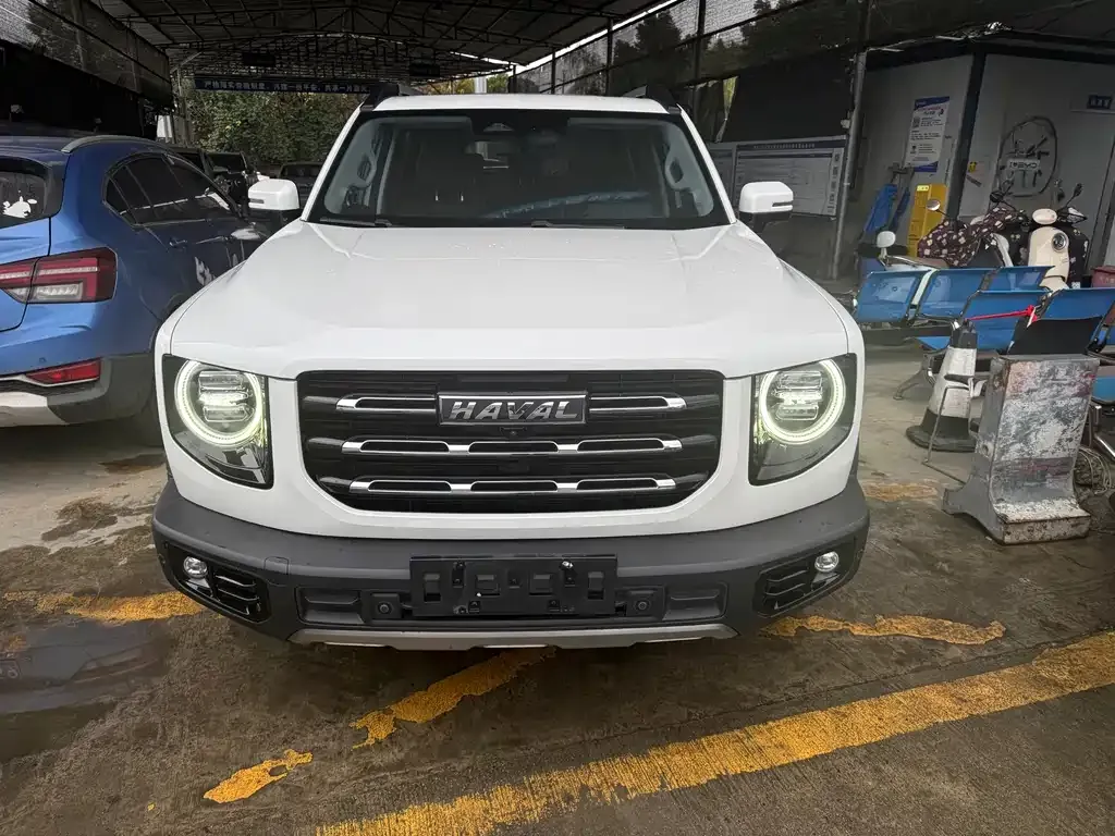 Haval Big Dog 2021 из CN, фото 2