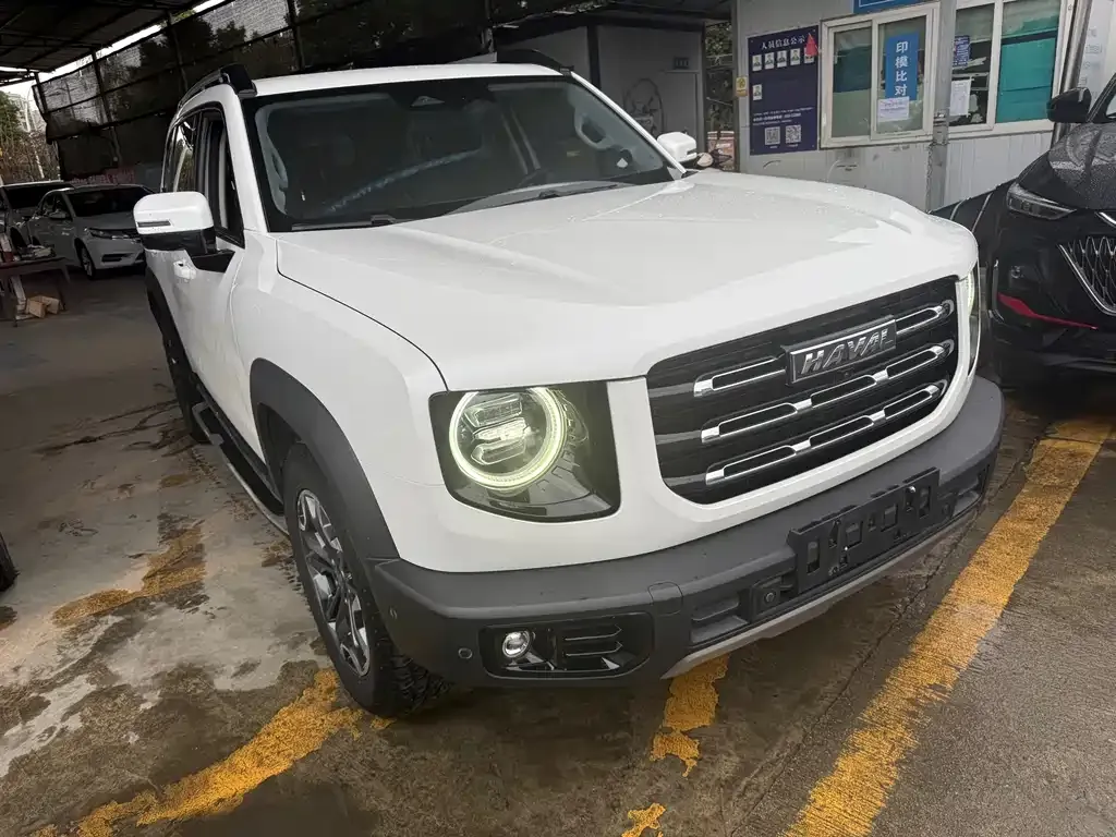 Haval Big Dog 2021 из CN, фото 5